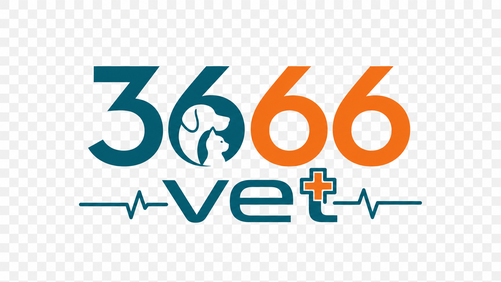 3666 vet